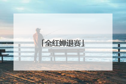 全红婵退赛