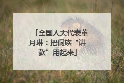 全国人大代表董月琳：把侗族“讲款”用起来