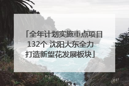 全年计划实施重点项目132个 沈阳大东全力打造新望花发展板块