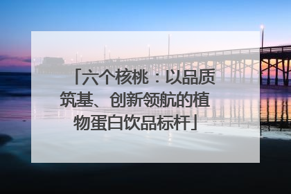 六个核桃：以品质筑基、创新领航的植物蛋白饮品标杆