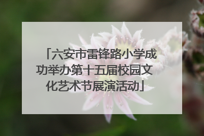 六安市雷锋路小学成功举办第十五届校园文化艺术节展演活动
