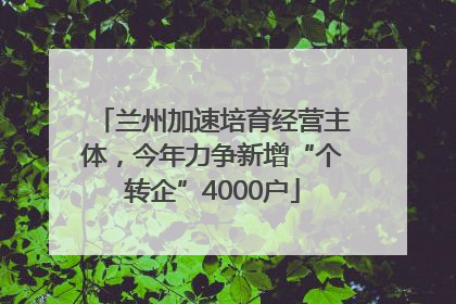 兰州加速培育经营主体，今年力争新增“个转企”4000户