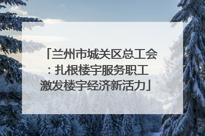 兰州市城关区总工会：扎根楼宇服务职工 激发楼宇经济新活力