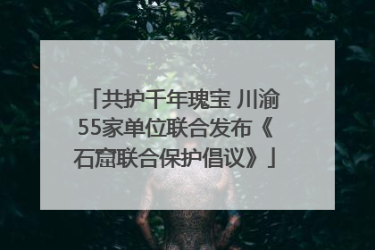 共护千年瑰宝 川渝55家单位联合发布《石窟联合保护倡议》