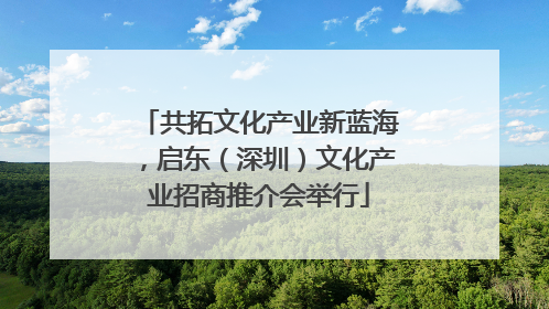 共拓文化产业新蓝海，启东（深圳）文化产业招商推介会举行