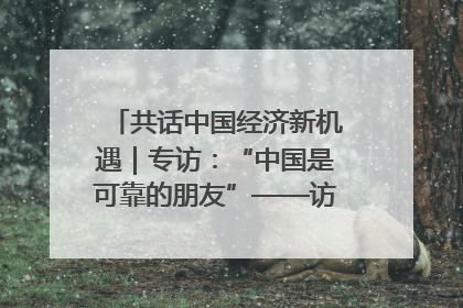 共话中国经济新机遇｜专访：“中国是可靠的朋友”——访马来西亚种植及原产业部副部长陈泓缣