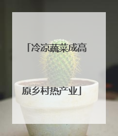 冷凉蔬菜成高原乡村热产业