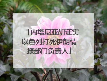 内塔尼亚胡证实以色列打死伊朗情报部门负责人