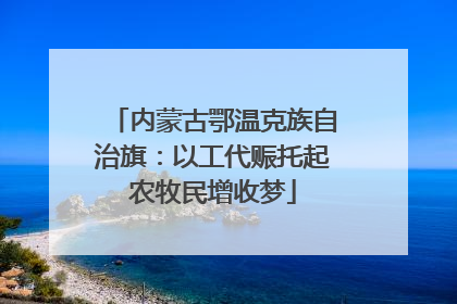 内蒙古鄂温克族自治旗：以工代赈托起农牧民增收梦