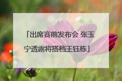 出席赛前发布会 张玉宁透露将搭档王钰栋