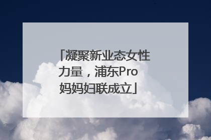 凝聚新业态女性力量，浦东Pro妈妈妇联成立