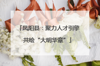 凤阳县：聚力人才引擎 共绘“大明华章”
