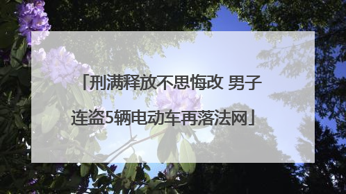 刑满释放不思悔改 男子连盗5辆电动车再落法网