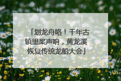 划龙舟咯！千年古镇里桨声响，黄龙溪恢复传统龙船大会