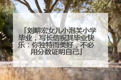 刘畊宏女儿小泡芙小学毕业，写长信祝其毕业快乐：你独特而美好，不必用分数证明自己