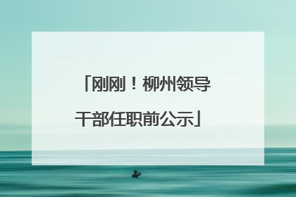 刚刚！柳州领导干部任职前公示