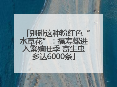 别碰这种粉红色“水草花”：福寿螺进入繁殖旺季 寄生虫多达6000条