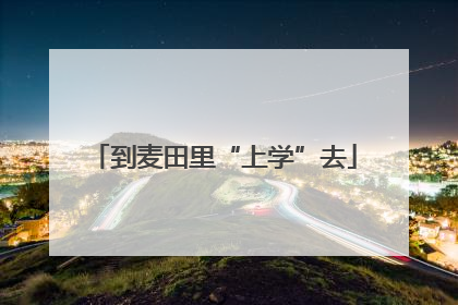 到麦田里“上学”去