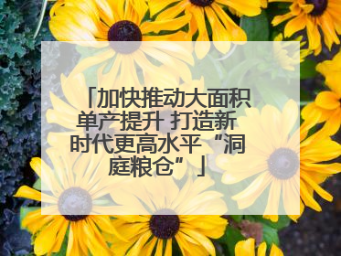 加快推动大面积单产提升 打造新时代更高水平“洞庭粮仓”
