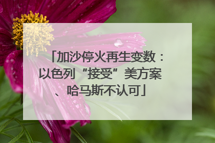 加沙停火再生变数：以色列“接受”美方案、哈马斯不认可
