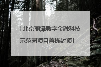 北京丽泽数字金融科技示范园项目首栋封顶