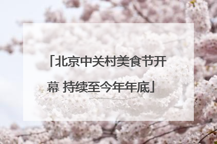 北京中关村美食节开幕 持续至今年年底