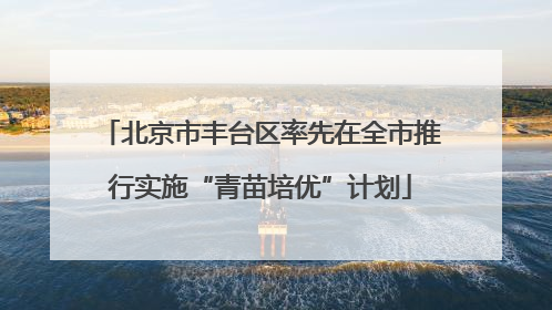 北京市丰台区率先在全市推行实施“青苗培优”计划