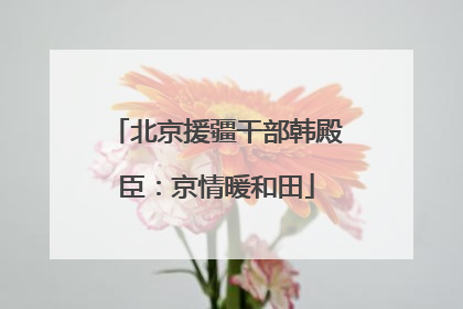 北京援疆干部韩殿臣：京情暖和田
