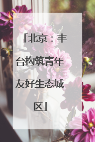 北京：丰台构筑青年友好生态城区