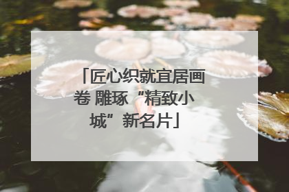 匠心织就宜居画卷 雕琢“精致小城”新名片