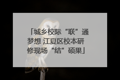 城乡校际“联”通梦想 江夏区校本研修现场“结”硕果