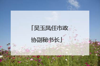 吴玉凤任市政协副秘书长