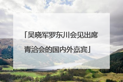 吴晓军罗东川会见出席青洽会的国内外嘉宾