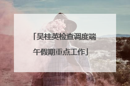 吴桂英检查调度端午假期重点工作