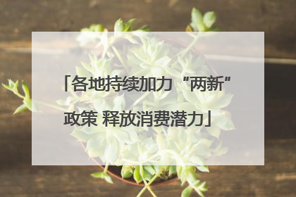 各地持续加力“两新”政策 释放消费潜力
