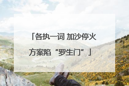 各执一词 加沙停火方案陷“罗生门”