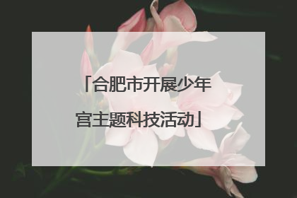合肥市开展少年宫主题科技活动