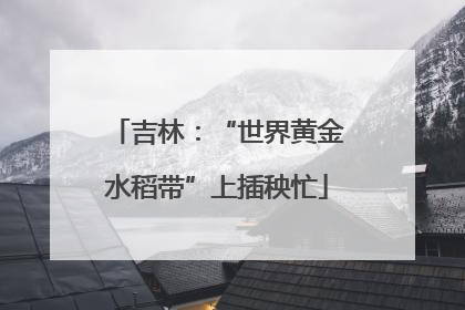 吉林：“世界黄金水稻带”上插秧忙