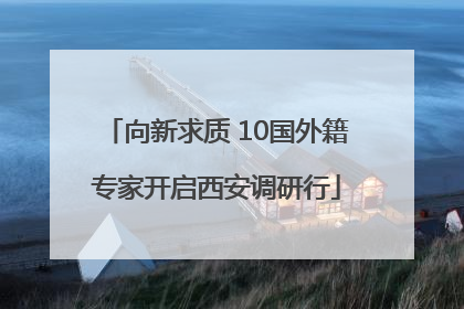 向新求质 10国外籍专家开启西安调研行