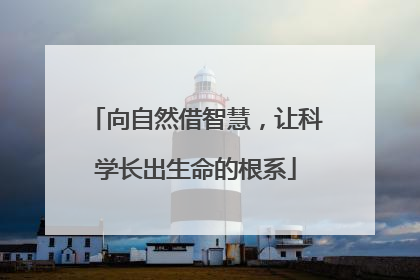 向自然借智慧,让科学长出生命的根系