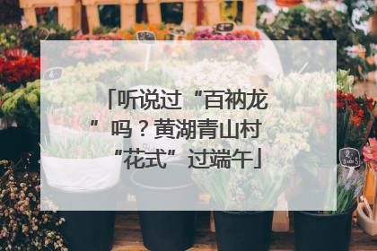 听说过“百衲龙”吗？黄湖青山村“花式”过端午