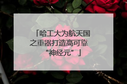 哈工大为航天国之重器打造高可靠“神经元”