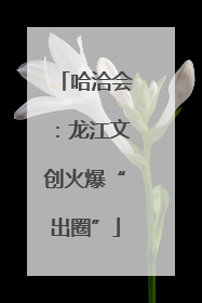 哈洽会：龙江文创火爆“出圈”