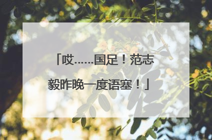 哎……国足！范志毅昨晚一度语塞！