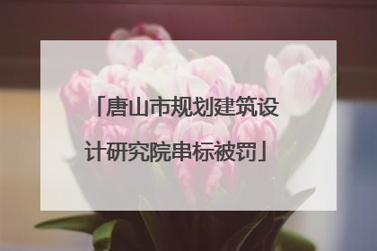 唐山市规划建筑设计研究院串标被罚
