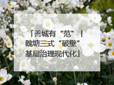 善城有“范”丨魏塘三式“破壁”基层治理现代化