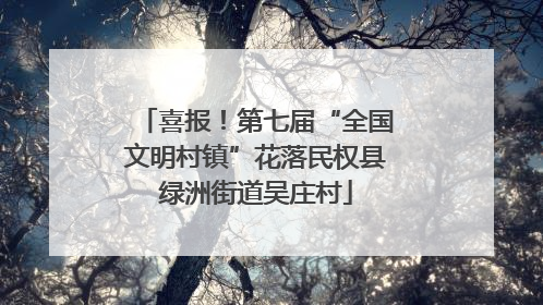 喜报！第七届“全国文明村镇”花落民权县绿洲街道吴庄村