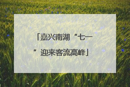 嘉兴南湖“七一”迎来客流高峰