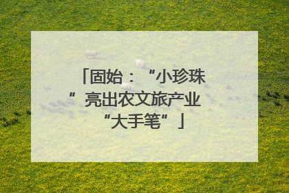 固始：“小珍珠”亮出农文旅产业“大手笔”