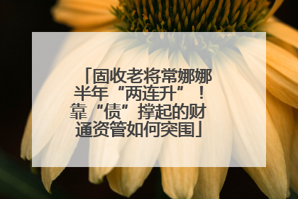 固收老将常娜娜半年“两连升”！靠“债”撑起的财通资管如何突围